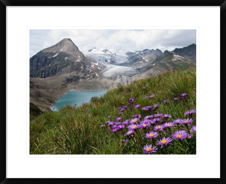 "Corno Gries Switzerland" Framed Digital Print by Vito Guarino, 30"x24"