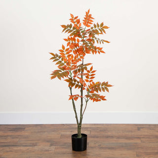 Lifestyle image showing a single plant in a woven basket in a home setting.