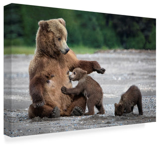 Renee Doyle 'A Mothers Love Bears' Canvas Art, 32"x22"