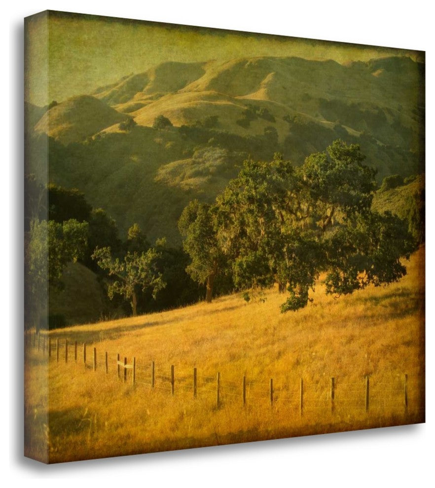 "Oak And Fence" By William Guion, Giclee Print on Gallery Wrap Canvas