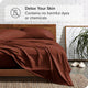 Bare Home 1800 Microfiber Sheet Set, Burgundy, Queen