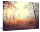 "Beautiful Natural Landscape With Trees" Extra Large Wall Art Landscape, 40"x30"