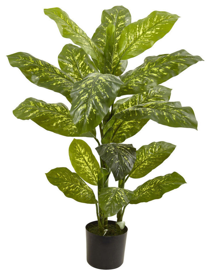 4' Dieffenbachia Real Touch Plant