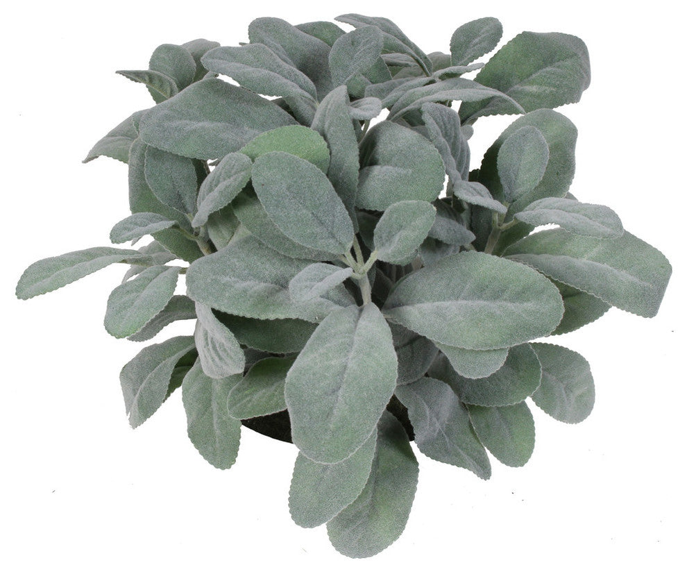 Frosted Lemon Leaf in White Pot, 10"
