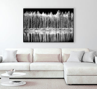 "Photograph 1" Art block Framed Canvas, 40"x30"
