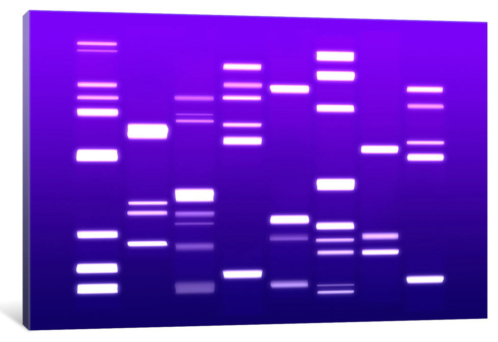 "DNA Genetic Code (Purple)" by Michael Tompsett, Canvas Print, 40x26"