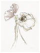 "Three Somniferums Poppies Neutral II" Paper Print by Shirley Novak, 26"x34"
