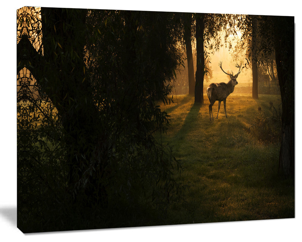 Deer In Sunset In Deep Forest, Large Forest Canvas Art Print, 60"x28"