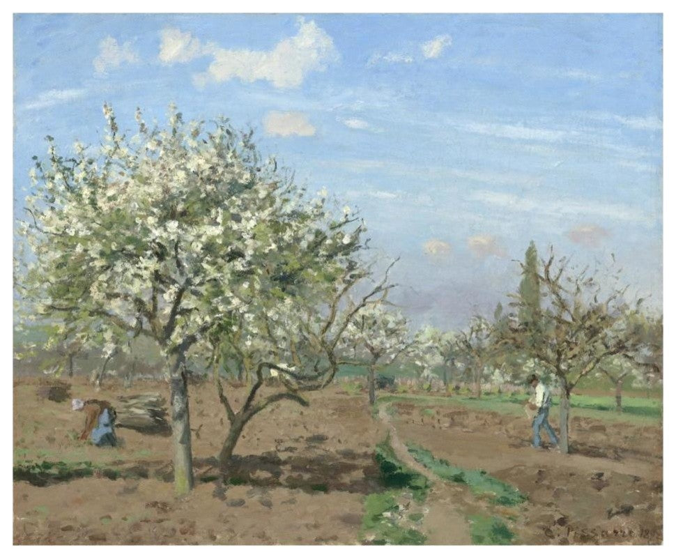 "Orchard in Bloom, Louveciennes, 1872" Paper Print by Camille Pissarro, 30"x24"