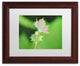 ''Beginning'' Matted Framed Canvas Art by Monica Mize