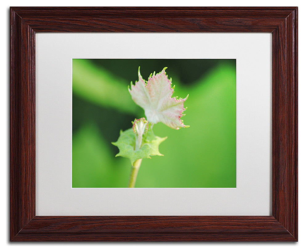 ''Beginning'' Matted Framed Canvas Art by Monica Mize