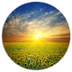Beauty Sunset Over Sunflowers Field, Floral Round Wall Art, 23"
