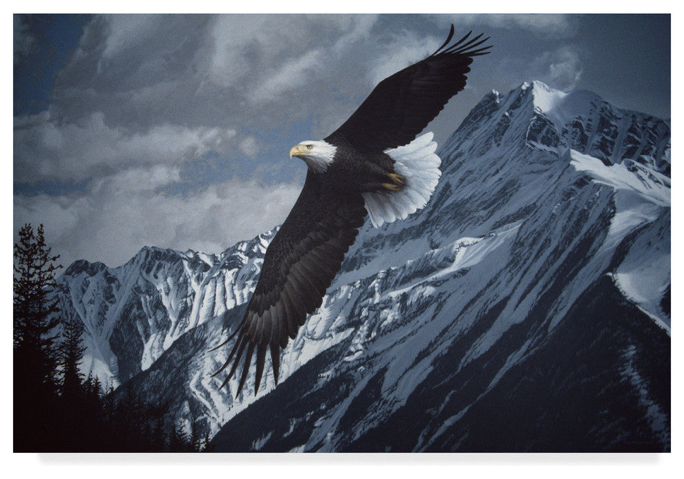 Ron Parker 'Wings Over Winter' Canvas Art, 47"x30"