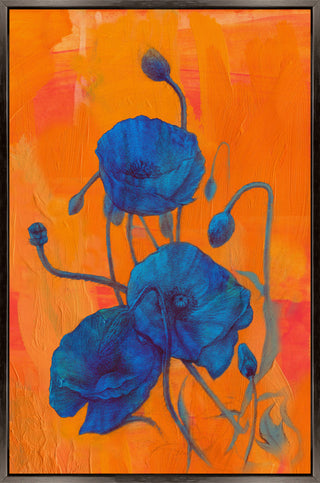 Papaver Rhoeas, 36 x 55