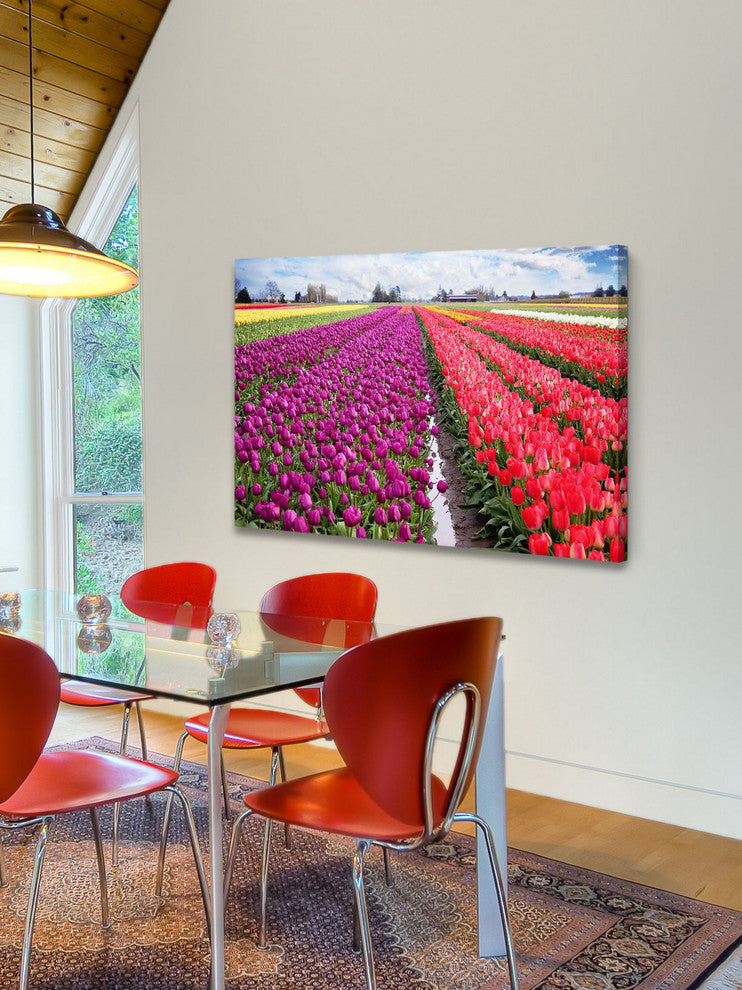 "Skagit Valley Tulips" Print on Canvas by Sylvia Cook