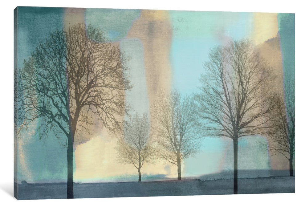 "Misty Morning I" by Chris Donovan, Canvas Print, 18"x12"