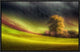 "Moravian Fields" Framed Canvas Giclee by Piotr (Bax) Krol, 23x15"