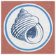 "Summer Shells III" Digital Paper Print by Kathrine Lovell, 32"x32"