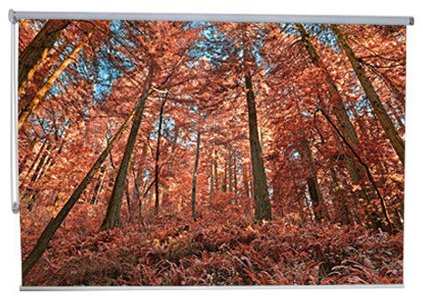 "Autumn Forest" Artwork, 4' Shade, Partial Sheer, Right