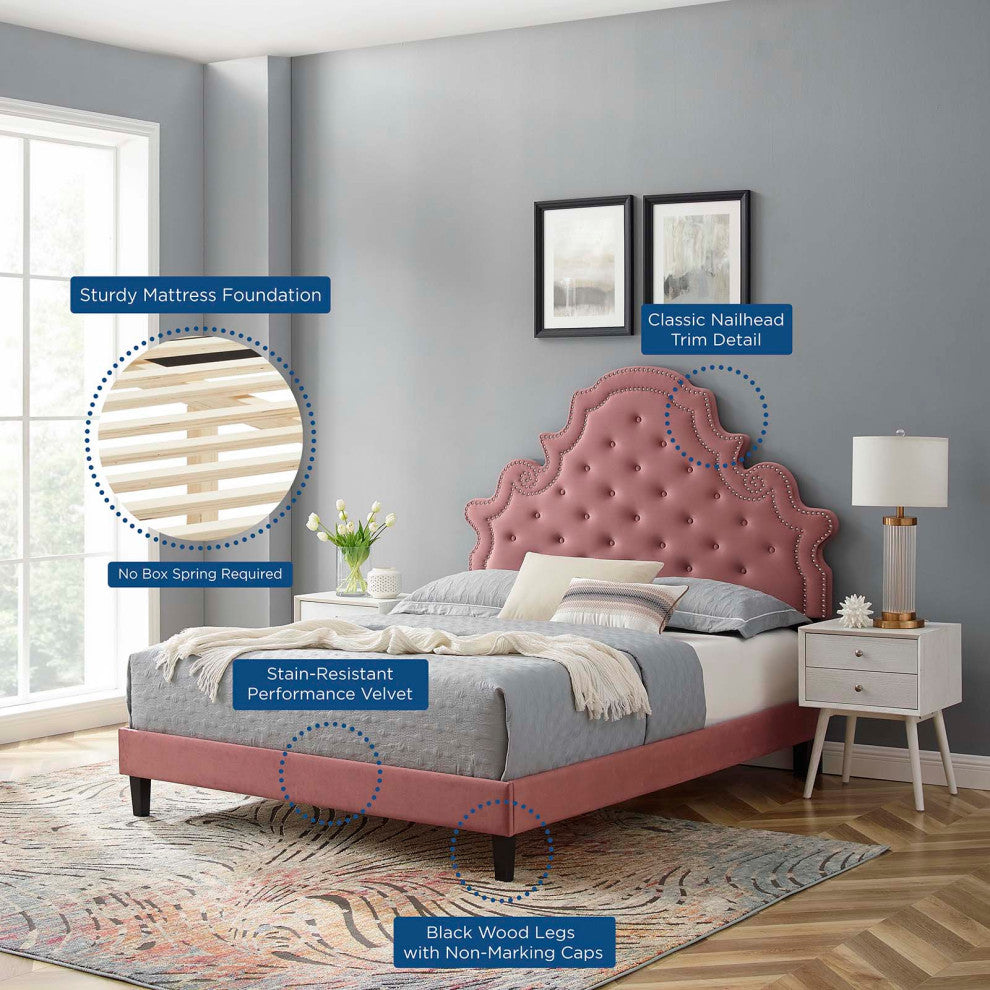 Gwyneth Tufted Performance Velvet King Platform Bed - Dusty Rose