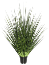 48" Extra Full Grass Potted