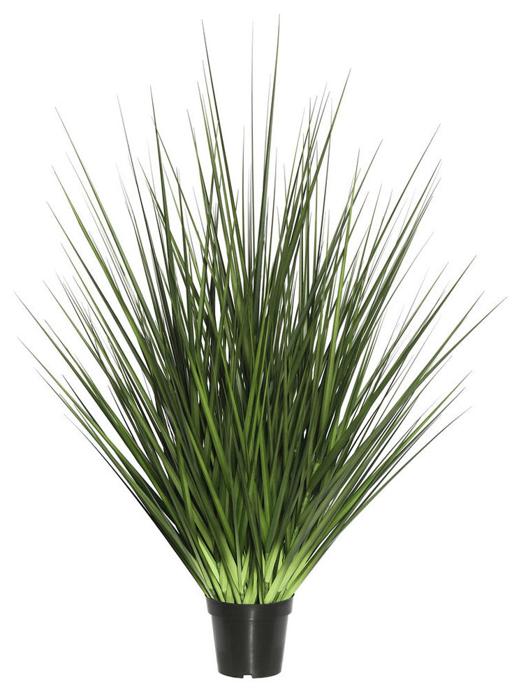 Full product on white background; shows entire potted grass with no text or diagrams.