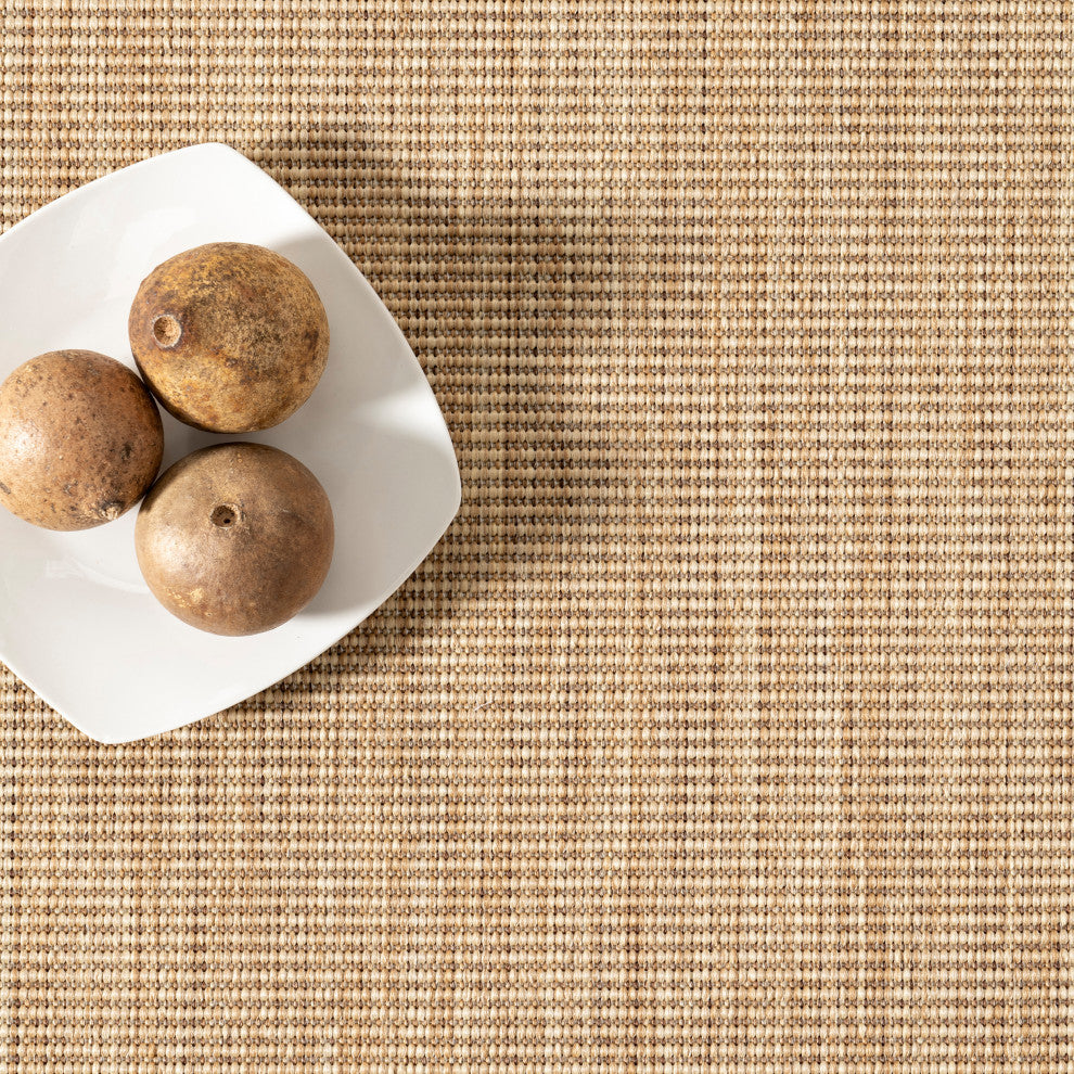 Nuloom Nakia Transitional Indoor/Outdoor Area Rug, Brown 8'x10'