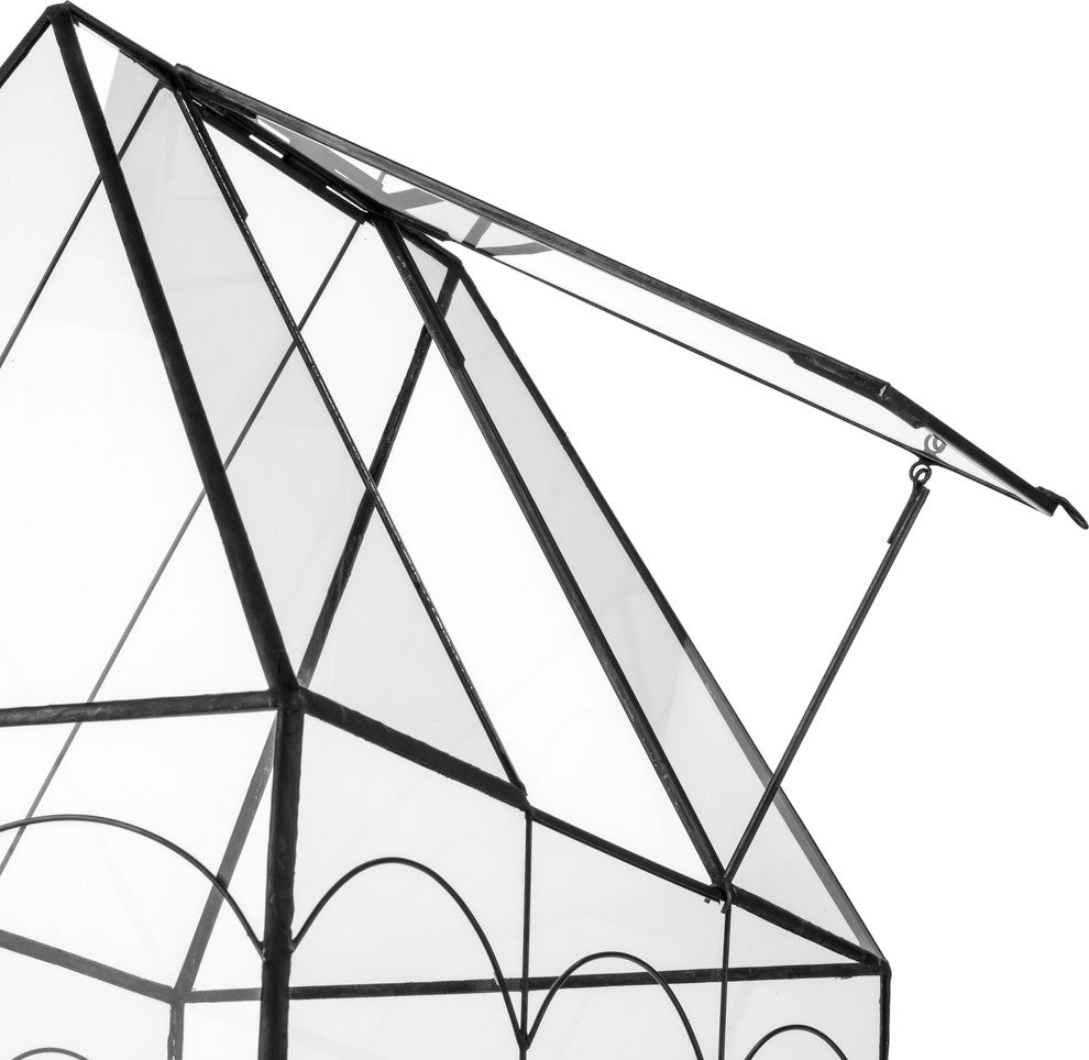 Wardian Case, Glass Plant Terrarium Planter Container