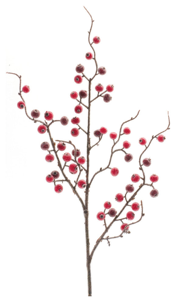 Iced Berry Twig Spray, Set of 12