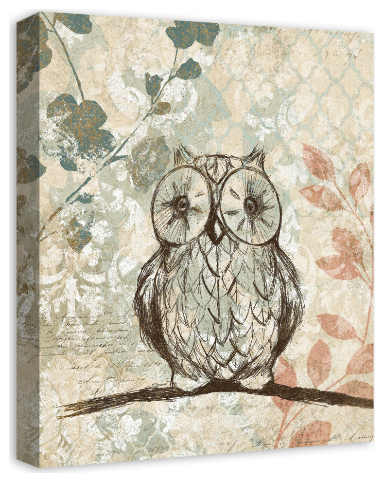 Little Wise Owl 16x20 Canvas Wall Art