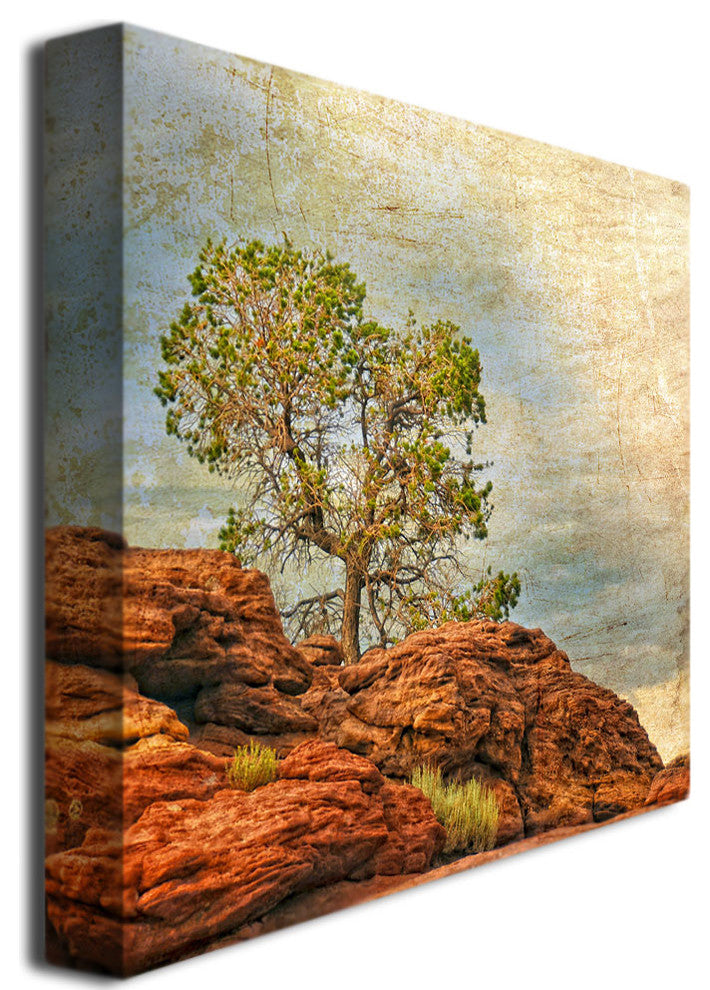 ''Guide My Feet'' Canvas Art by Philippe Sainte-Laudy