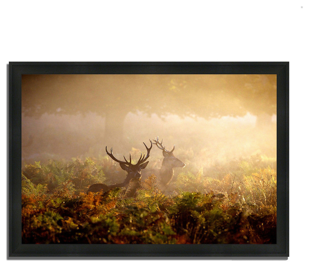 "Two Stags At Dawn", Framed Photograph Print, Ready To Hang