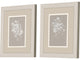 Delicate Botanicals Artwork, 2-Piece Set