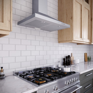 Streamline 30" Fermi Ducted Wall Mount Range Hood, Stainless Steel