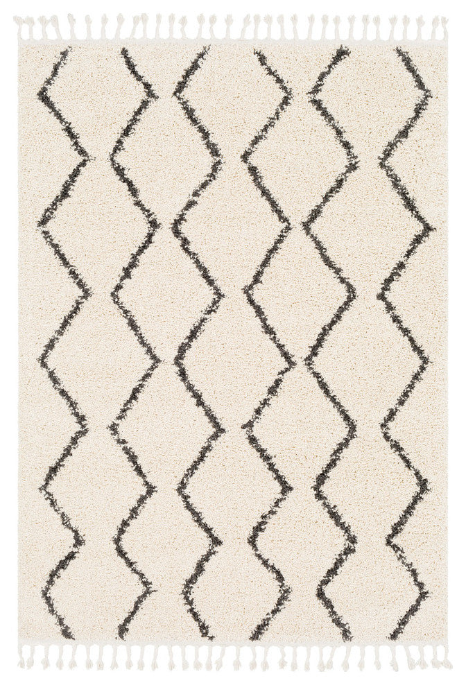 Berber Shag Bohemian Global Charcoal, Beige Area Rug, 2'x3'