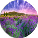 Summer Lavender Field In Tihany, Modern Landscape Round Wall Art, 23"