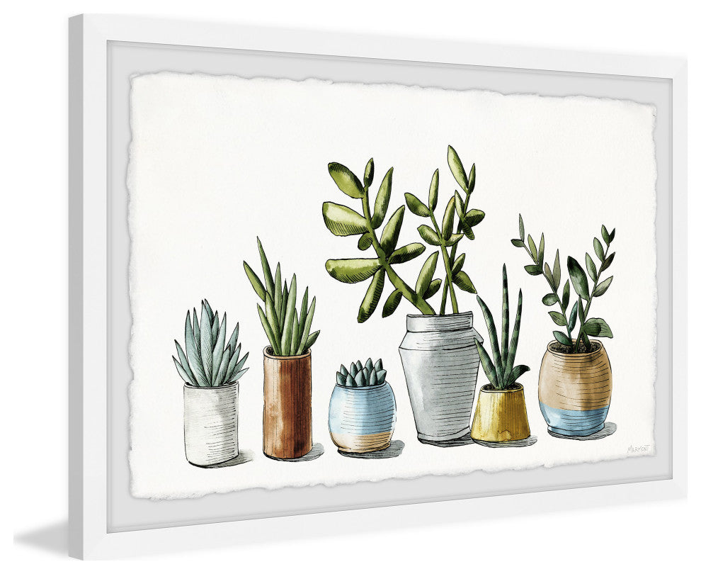 "Ornamental Succulents" Framed Painting Print, 12x8