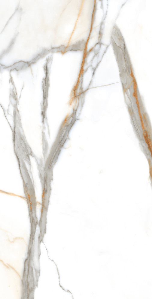 Calacatta Gold Porcelain Marble Look Matte Wall and Floor Tile, 24x48