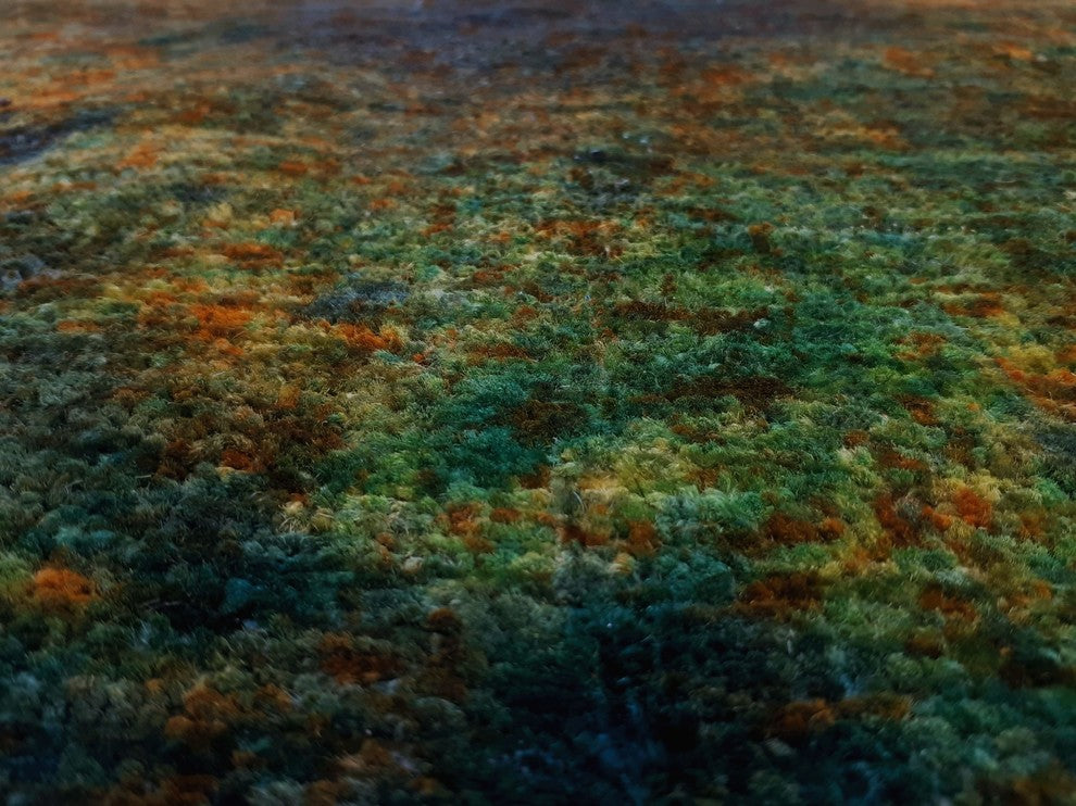 Overdyed Edilbert Green Round Rug