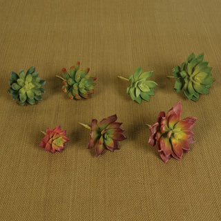 Group shot of multiple artificial succulents on a brown burlap-like background; lifestyle context.