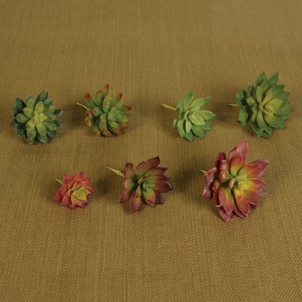 Group shot of multiple artificial succulents on a brown burlap-like background; lifestyle context.
