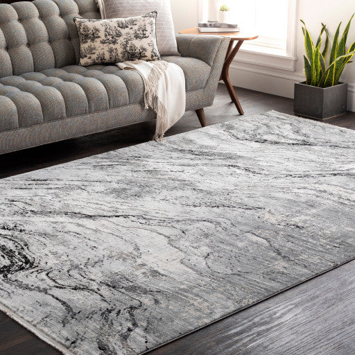 Surya Solar SOR-2309 3'x9'10" Rug, Gray/Ivory/Black