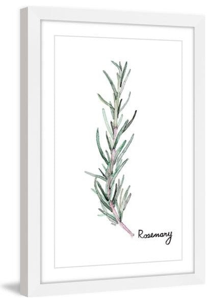 "Herb Rosemary" Framed Painting Print, 16"x24"