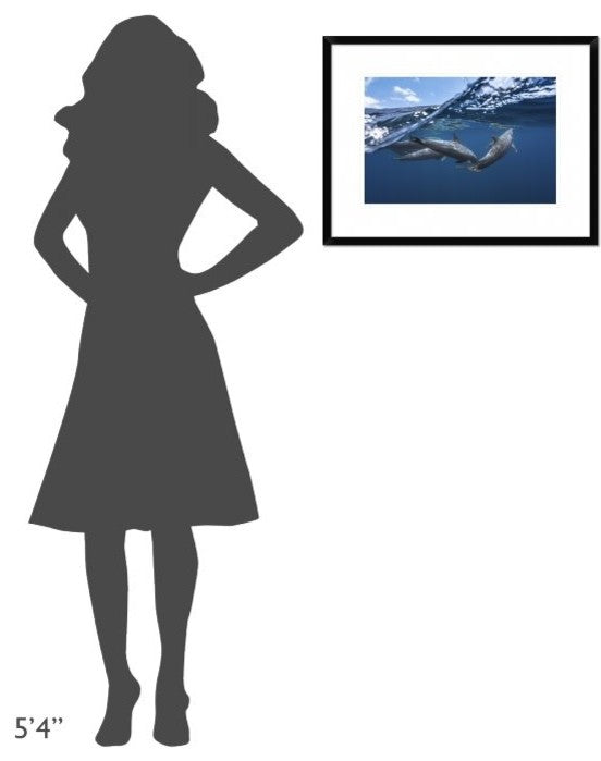 "Dolphins" Framed Digital Print by Barathieu Gabriel, 26"x20"