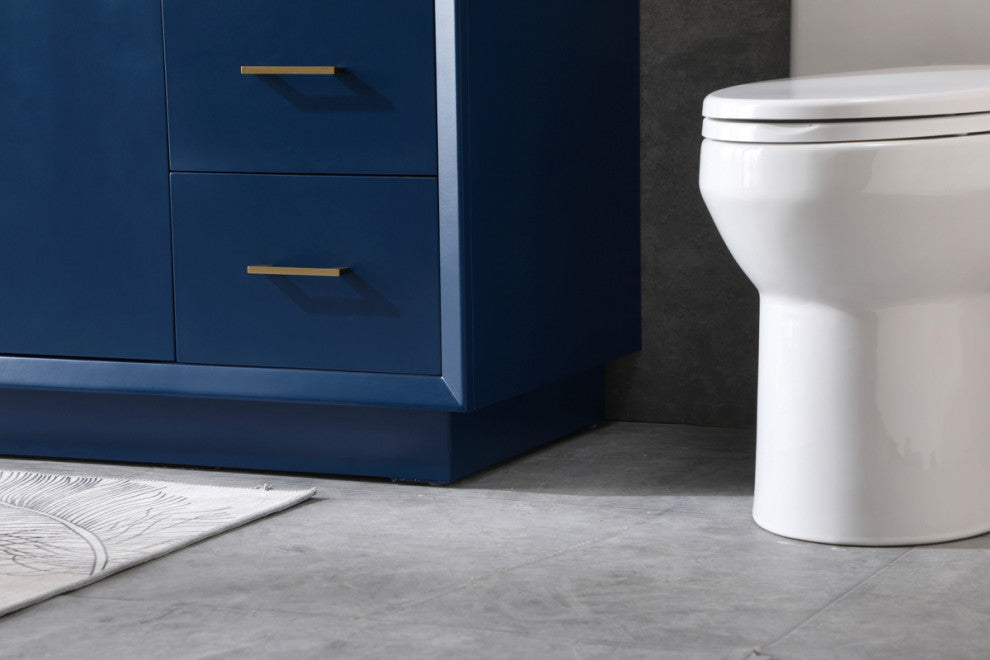 60" SIngle Bathroom Vanity, Blue