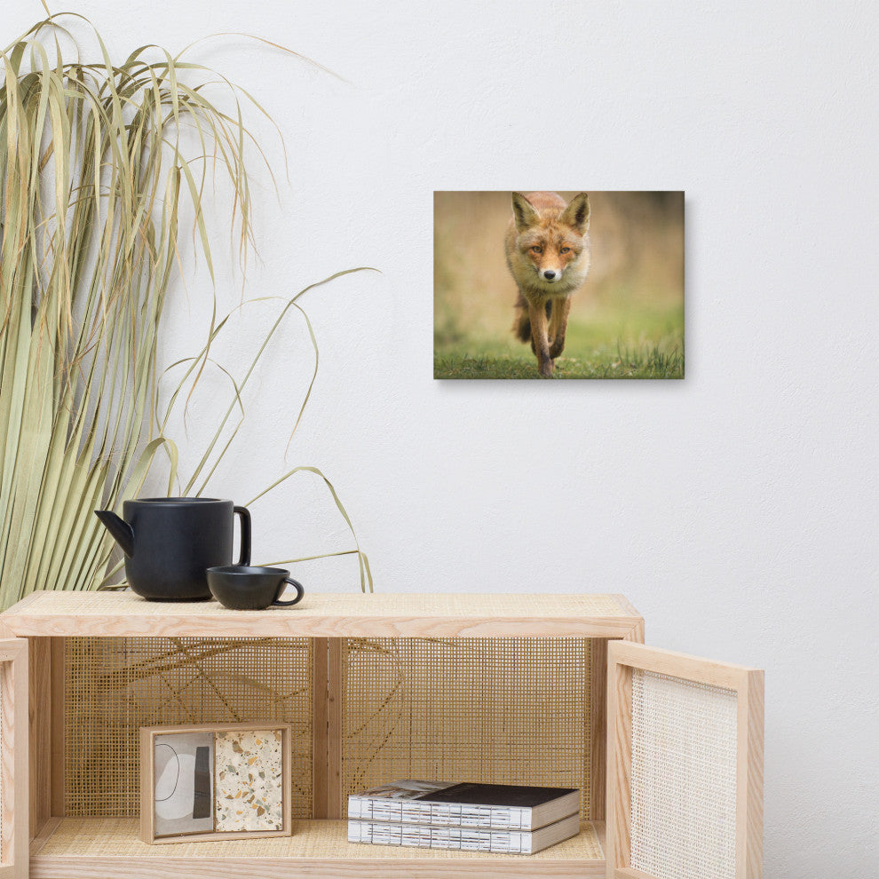 Young Female Red Fox In Forest Animal Wildlife Photograph Canvas Wall Art Print, 12" X 16"