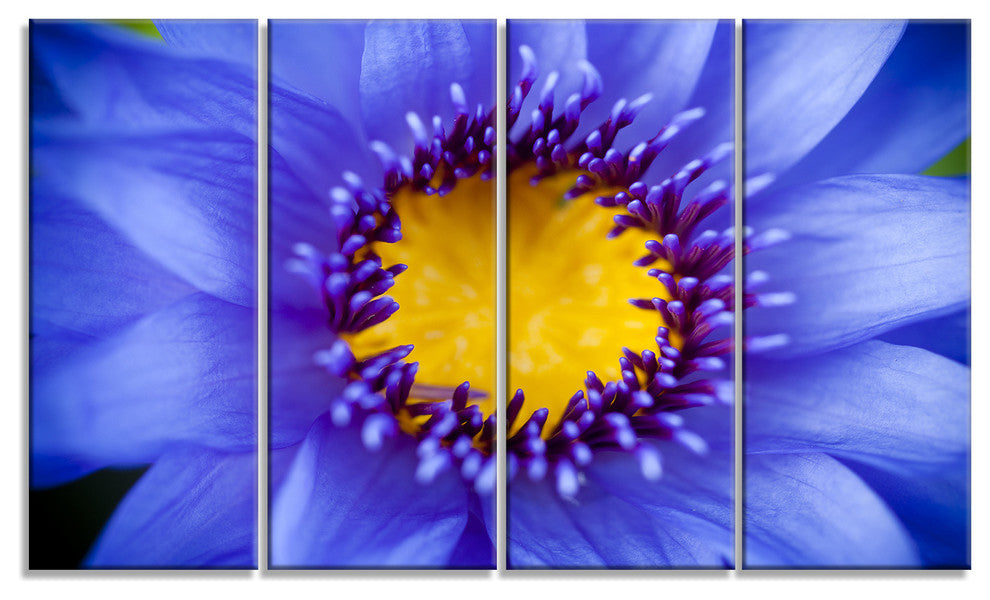 Blue Lotus Close up Watercolor, Flowers Canvas Wall Artwork, 48"x28", 4 Panels