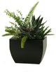 Aloe, Echeveria, Succulents in Rectangle Metal Planter