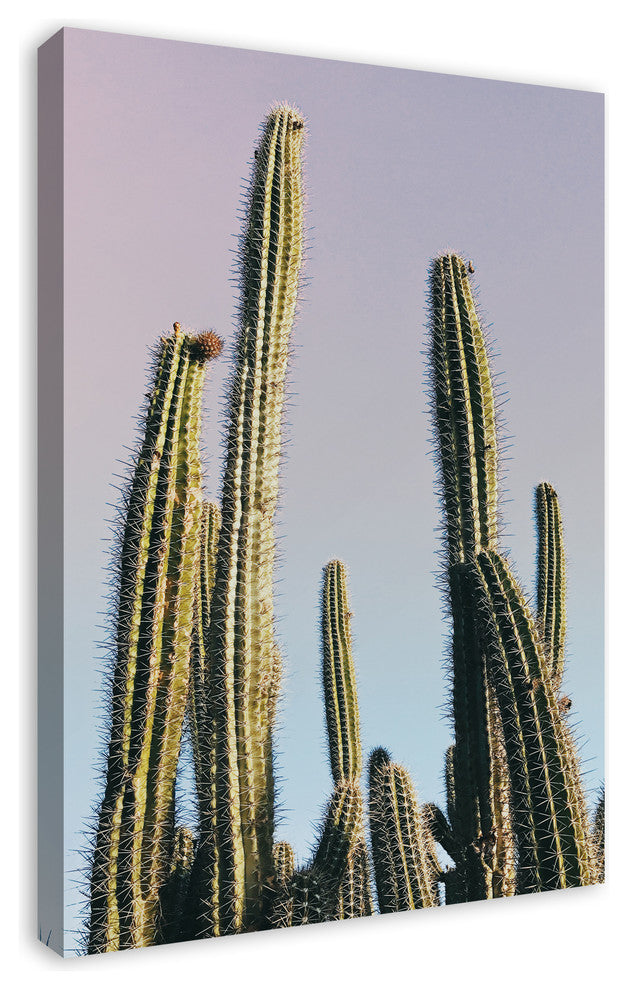 Tall Cactus 24x36 Canvas Wall Art
