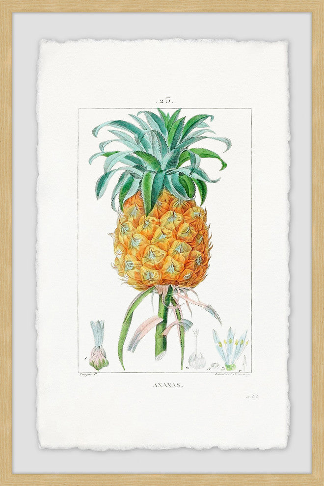 "Botanical Pineapple" Framed Painting Print, 16"x24"